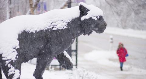 冬天的UNH野猫雕像
