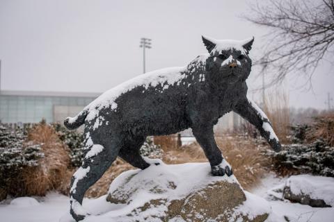 UNH野猫雕塑在雪地里