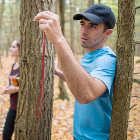 UNH student working on research project in the woods