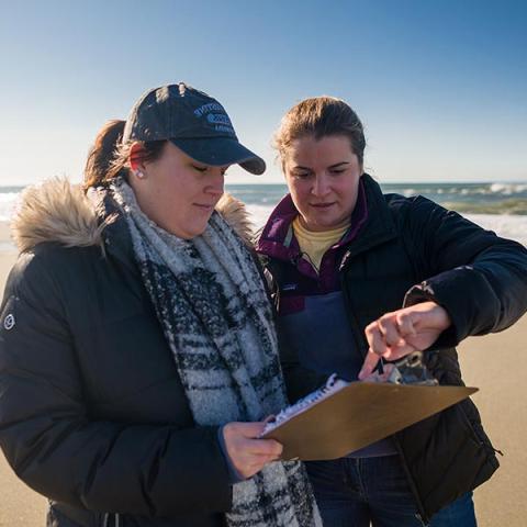 UNH海洋工程学生指着站在海滩上的写字板