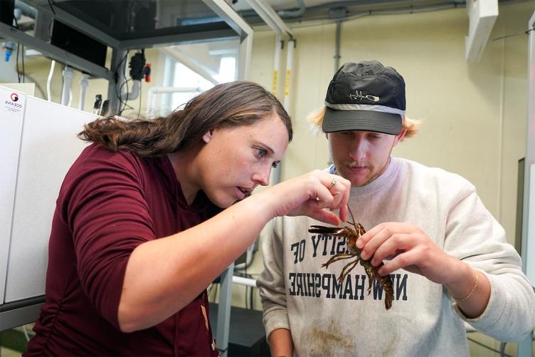 研究生托德·斯特林和助理教授布列塔尼·杰利森正在检查一只刚捕获的小龙虾.