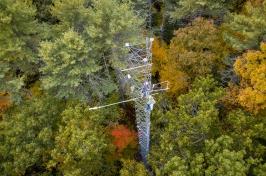 森林里的研究塔，从上面拍摄，秋天的颜色正在显现