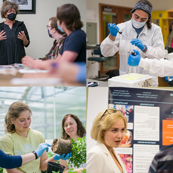 一组四张照片，展示了从事实地或实验室工作的女性研究人员和教职员工, 教授的课程, 和/或与同事分享他们的工作